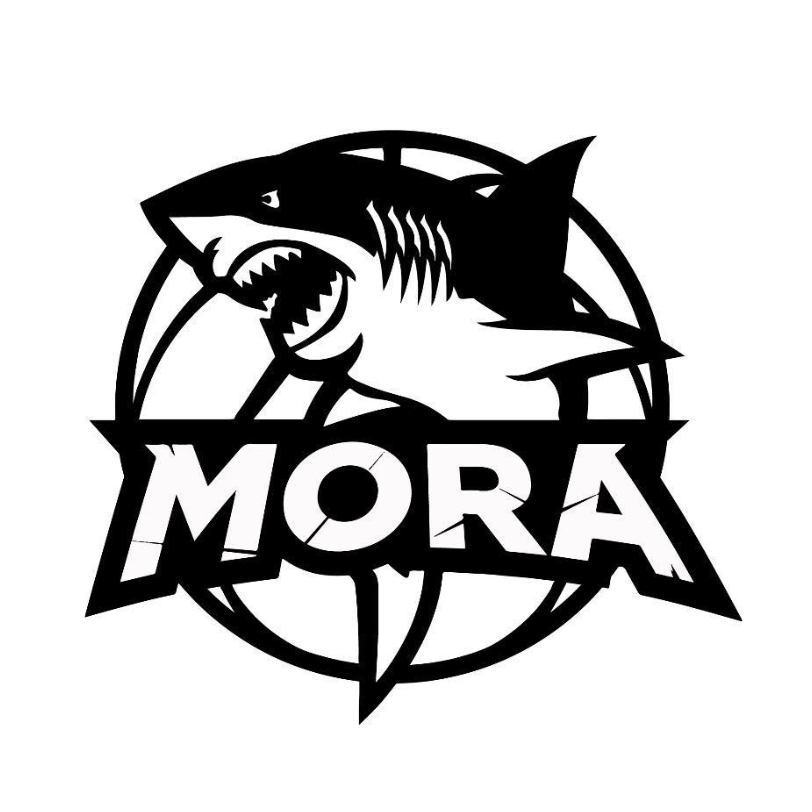 Mora Basketball